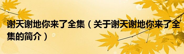 謝天謝地你來了全集（關(guān)于謝天謝地你來了全集的簡介）