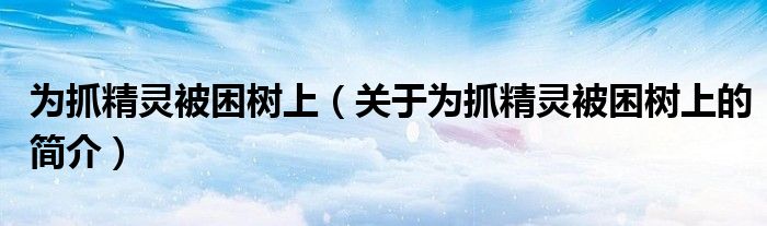 為抓精靈被困樹上（關(guān)于為抓精靈被困樹上的簡(jiǎn)介）