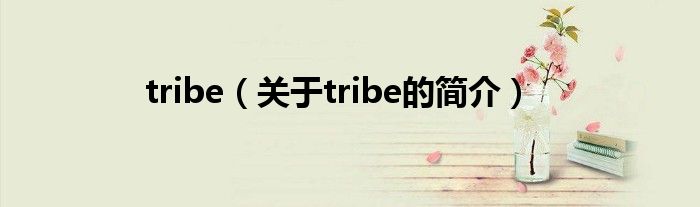 tribe（關于tribe的簡介）