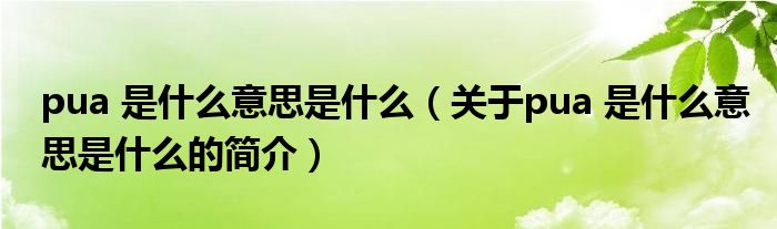 pua 是什么意思是什么（關(guān)于pua 是什么意思是什么的簡(jiǎn)介）