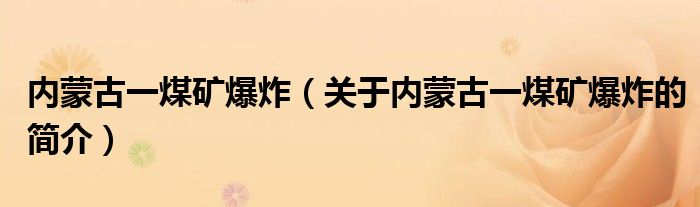 內(nèi)蒙古一煤礦爆炸（關(guān)于內(nèi)蒙古一煤礦爆炸的簡(jiǎn)介）