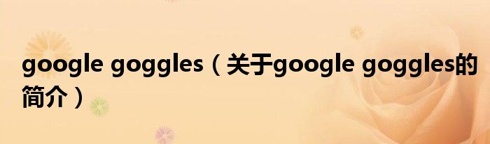 google goggles（關(guān)于google goggles的簡(jiǎn)介）