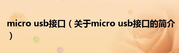 micro usb接口（關(guān)于micro usb接口的簡(jiǎn)介）