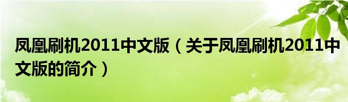 鳳凰刷機(jī)2011中文版（關(guān)于鳳凰刷機(jī)2011中文版的簡(jiǎn)介）