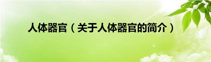 人體器官（關(guān)于人體器官的簡介）