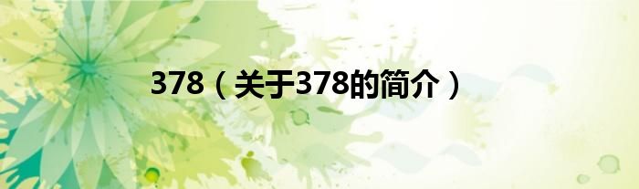 378（關(guān)于378的簡(jiǎn)介）