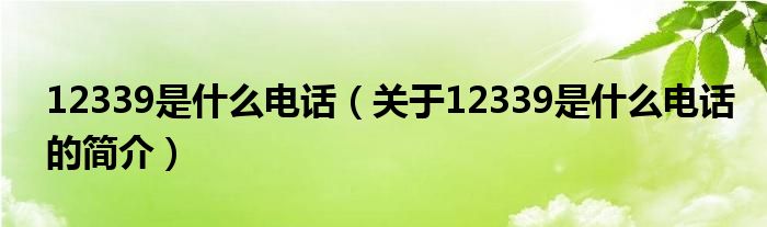 12339是什么電話（關(guān)于12339是什么電話的簡介）