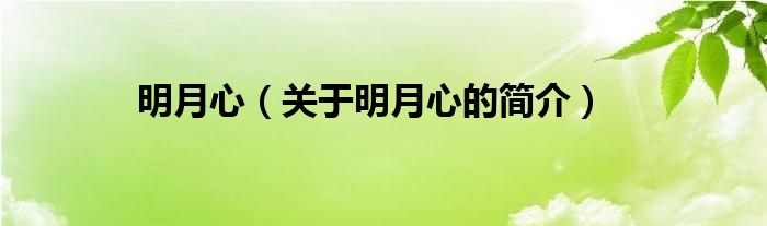 明月心（關(guān)于明月心的簡(jiǎn)介）