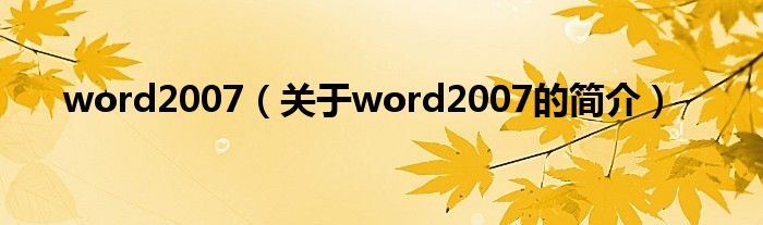 word2007（關(guān)于word2007的簡(jiǎn)介）