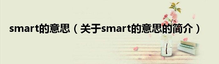 smart的意思（關(guān)于smart的意思的簡介）