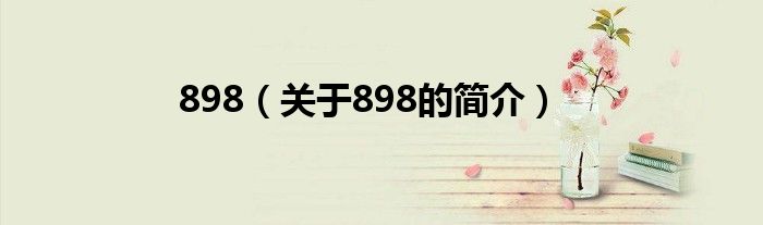 898（關于898的簡介）