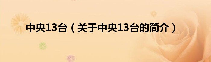 中央13臺（關于中央13臺的簡介）