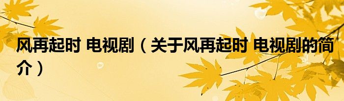 風再起時 電視?。P于風再起時 電視劇的簡介）