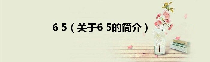 6 5（關(guān)于6 5的簡介）