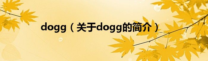 dogg（關(guān)于dogg的簡介）