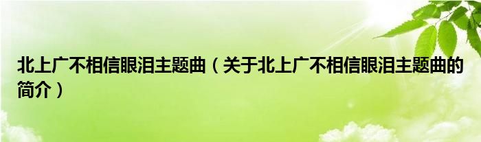 北上廣不相信眼淚主題曲（關(guān)于北上廣不相信眼淚主題曲的簡(jiǎn)介）