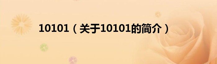 10101（關于10101的簡介）