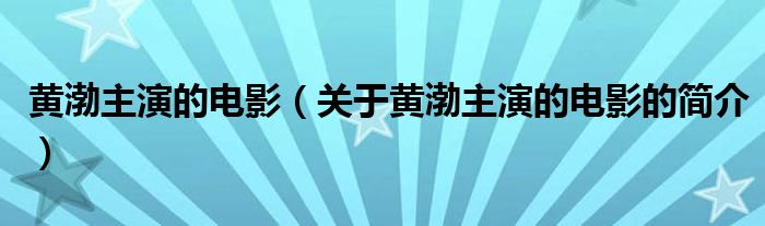 黃渤主演的電影（關(guān)于黃渤主演的電影的簡(jiǎn)介）