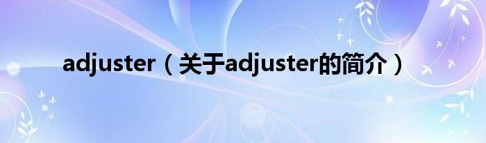 adjuster（關于adjuster的簡介）