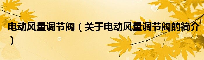 電動(dòng)風(fēng)量調(diào)節(jié)閥（關(guān)于電動(dòng)風(fēng)量調(diào)節(jié)閥的簡介）