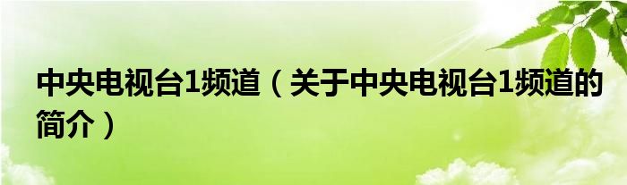 中央電視臺(tái)1頻道（關(guān)于中央電視臺(tái)1頻道的簡(jiǎn)介）