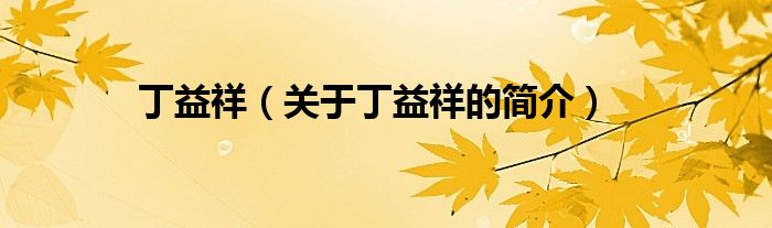 丁益祥（關(guān)于丁益祥的簡(jiǎn)介）