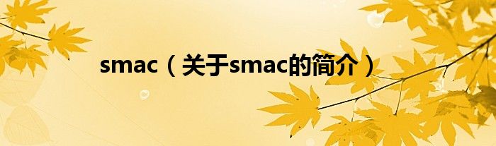 smac（關(guān)于smac的簡介）