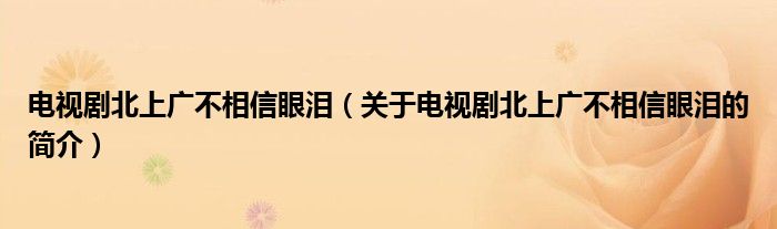 電視劇北上廣不相信眼淚（關(guān)于電視劇北上廣不相信眼淚的簡(jiǎn)介）