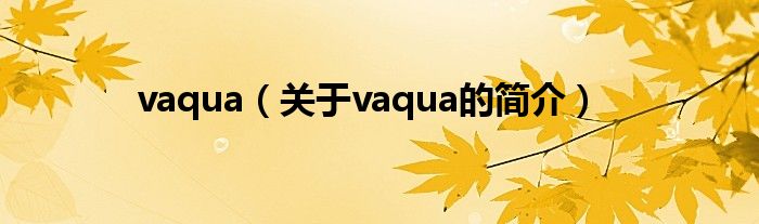 vaqua（關(guān)于vaqua的簡介）