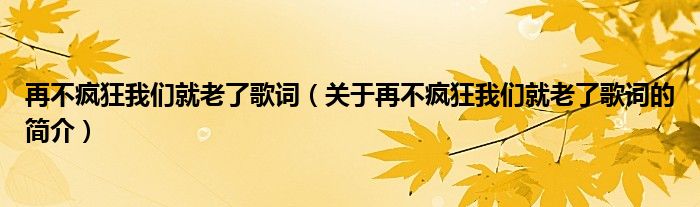 再不瘋狂我們就老了歌詞（關(guān)于再不瘋狂我們就老了歌詞的簡介）