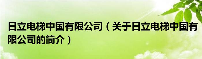 日立電梯中國有限公司（關(guān)于日立電梯中國有限公司的簡介）