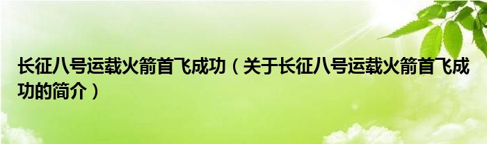 長(zhǎng)征八號(hào)運(yùn)載火箭首飛成功（關(guān)于長(zhǎng)征八號(hào)運(yùn)載火箭首飛成功的簡(jiǎn)介）