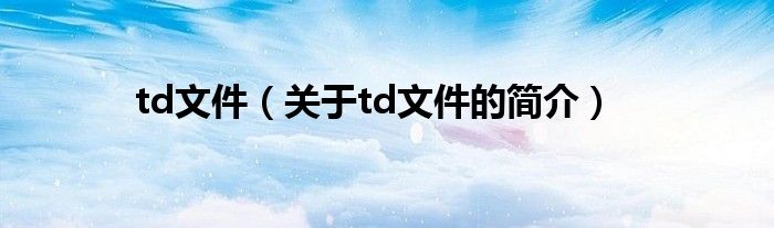 td文件（關(guān)于td文件的簡介）