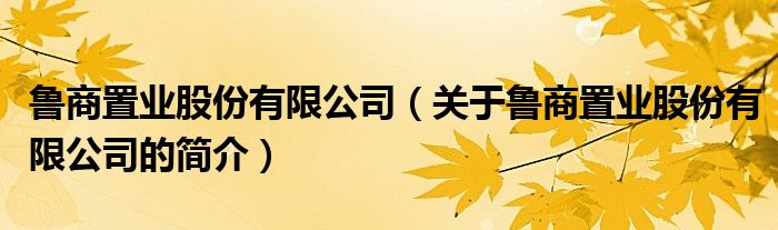 魯商置業(yè)股份有限公司（關(guān)于魯商置業(yè)股份有限公司的簡(jiǎn)介）