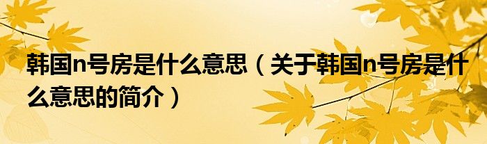 韓國(guó)n號(hào)房是什么意思（關(guān)于韓國(guó)n號(hào)房是什么意思的簡(jiǎn)介）