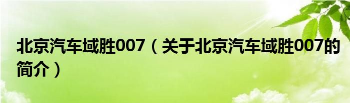 北京汽車域勝007（關(guān)于北京汽車域勝007的簡介）