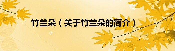 竹蘭朵（關(guān)于竹蘭朵的簡(jiǎn)介）