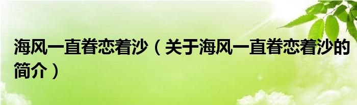 海風一直眷戀著沙（關于海風一直眷戀著沙的簡介）