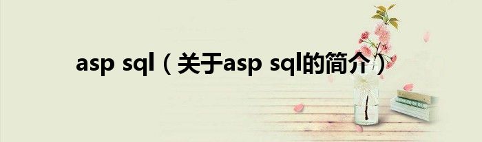 asp sql（關于asp sql的簡介）