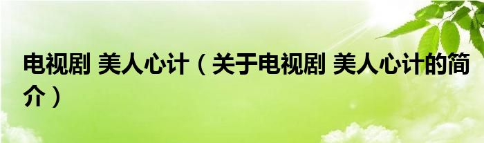 電視劇 美人心計（關(guān)于電視劇 美人心計的簡介）