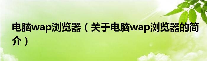 電腦wap瀏覽器（關(guān)于電腦wap瀏覽器的簡(jiǎn)介）