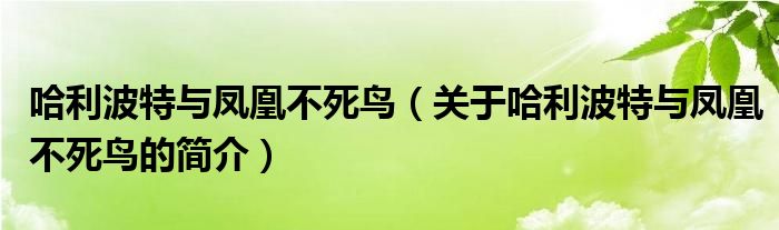 哈利波特與鳳凰不死鳥（關(guān)于哈利波特與鳳凰不死鳥的簡(jiǎn)介）