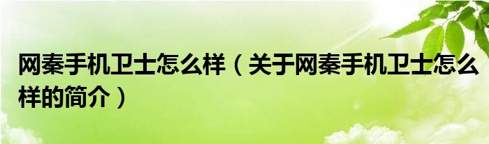 網(wǎng)秦手機(jī)衛(wèi)士怎么樣（關(guān)于網(wǎng)秦手機(jī)衛(wèi)士怎么樣的簡(jiǎn)介）