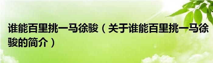 誰能百里挑一馬徐駿（關(guān)于誰能百里挑一馬徐駿的簡介）