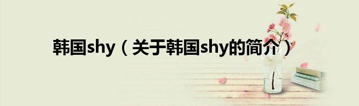 韓國shy（關(guān)于韓國shy的簡介）