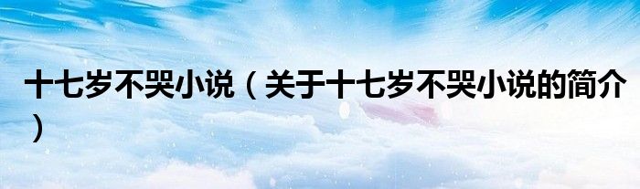 十七歲不哭小說（關(guān)于十七歲不哭小說的簡介）