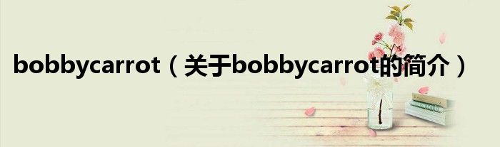 bobbycarrot（關(guān)于bobbycarrot的簡介）