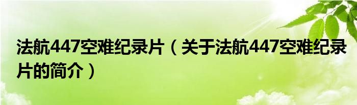 法航447空難紀錄片（關于法航447空難紀錄片的簡介）