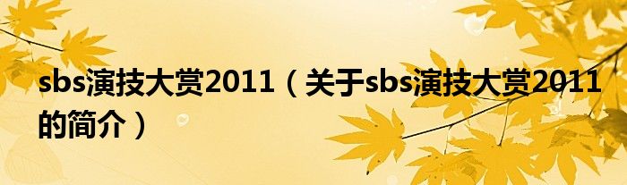 sbs演技大賞2011（關(guān)于sbs演技大賞2011的簡介）