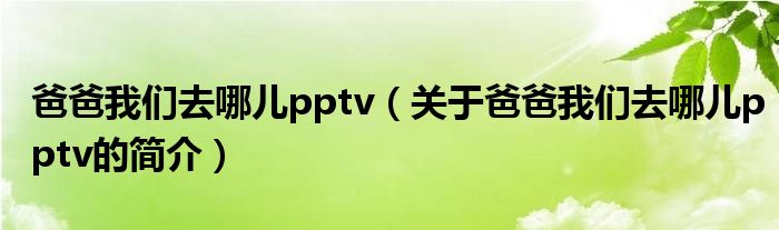 爸爸我們?nèi)ツ膬簆ptv（關(guān)于爸爸我們?nèi)ツ膬簆ptv的簡介）